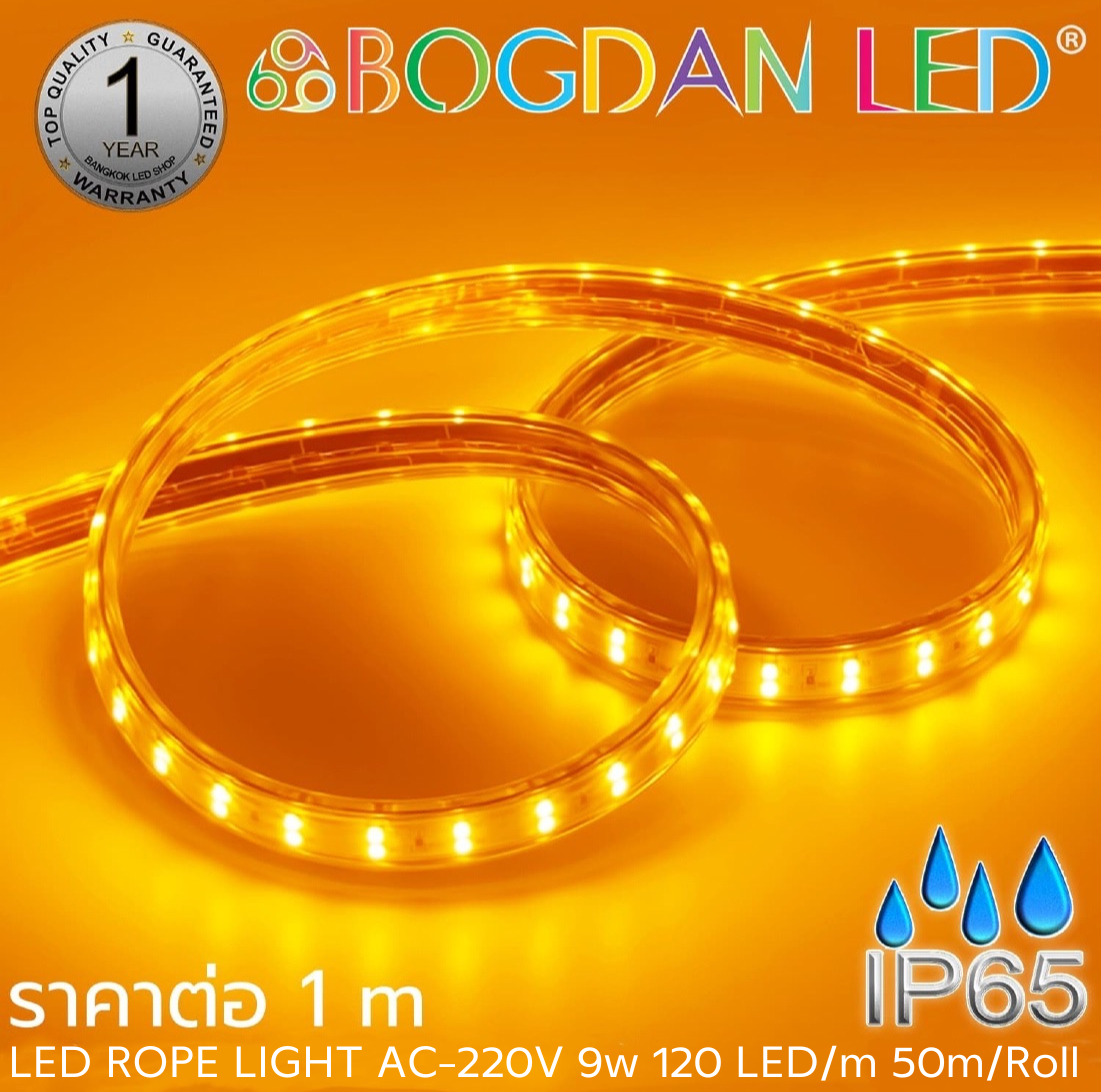 ROPE LIGHT BL-V-SSR-AA2835-120-9W-220V Yellow ROPE LIGHT BL-V-SSR-AA2835-120-9W-220V Yellow