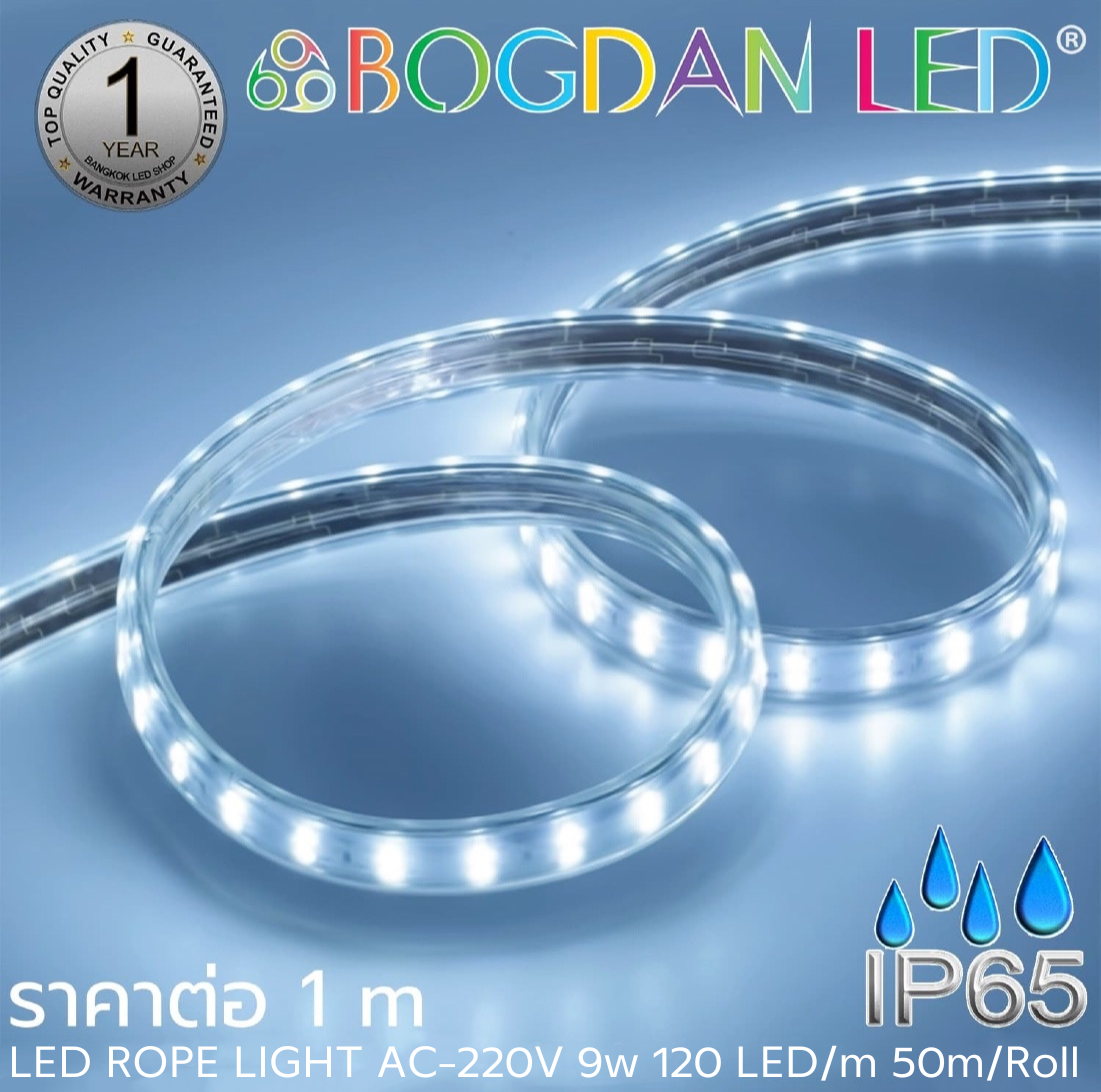 ROPE BL-V-SSR-AA2835-120-9W-220V Cold White   25000K