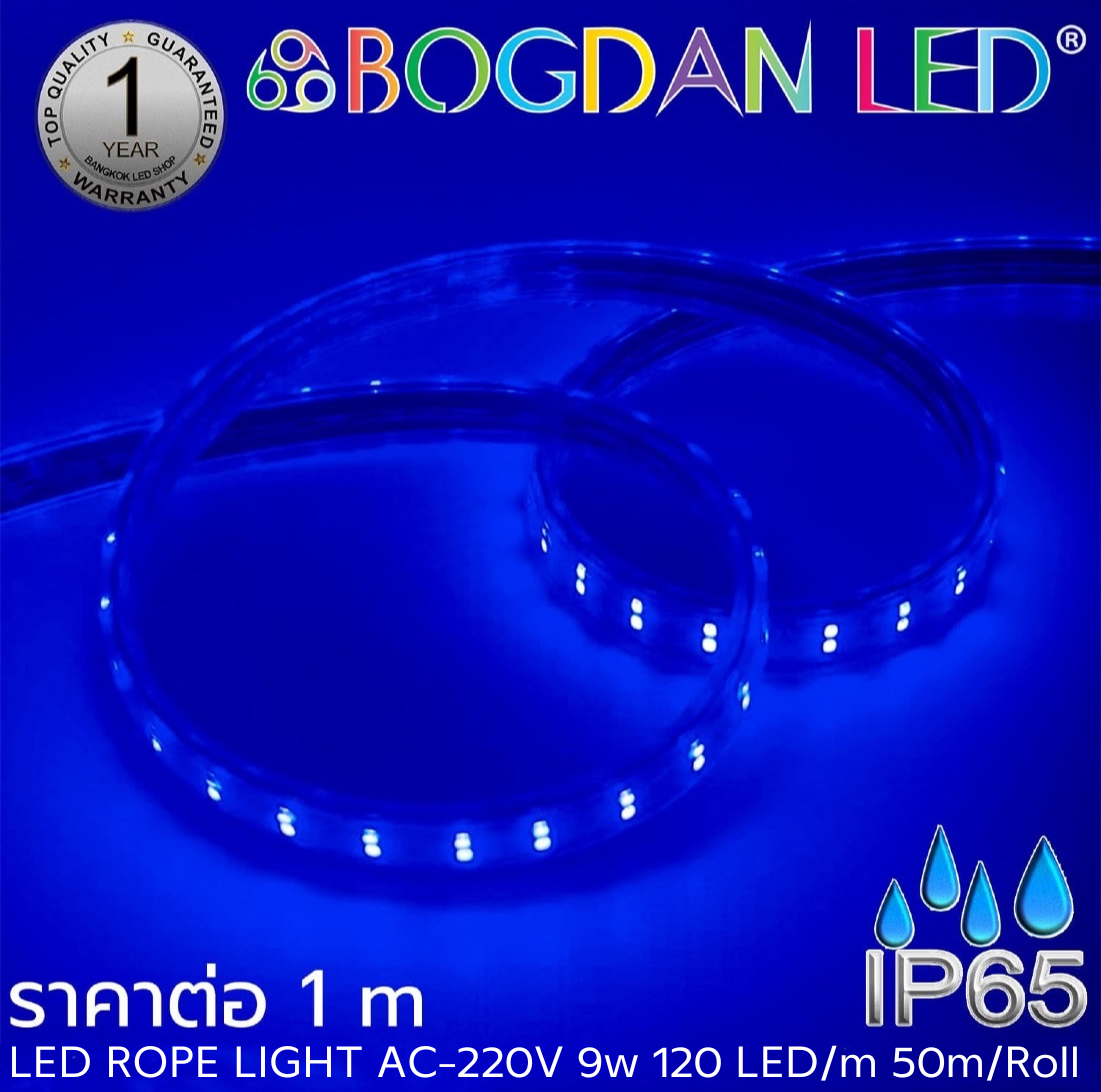 ROPE LIGHT BL-V-SSR-AA2835-120-9W-220V BLUE ROPE LIGHT BL-V-SSR-AA2835-120-9W-220V BLUE