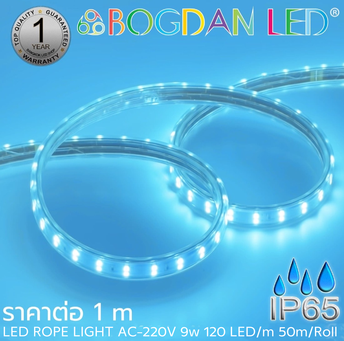 ROPE LIGHT BL-V-SSR-AA2835-120-9W-220V Ice Blue ROPE LIGHT BL-V-SSR-AA2835-120-9W-220V Ice Blue