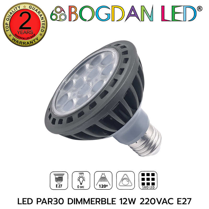 LED PAR30