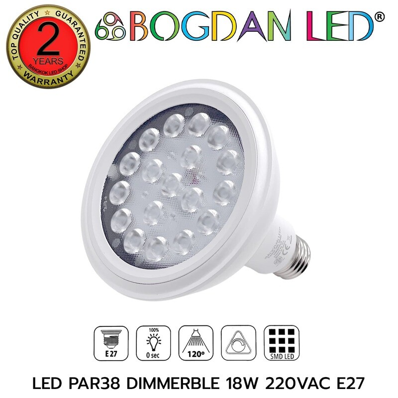 LED PAR38