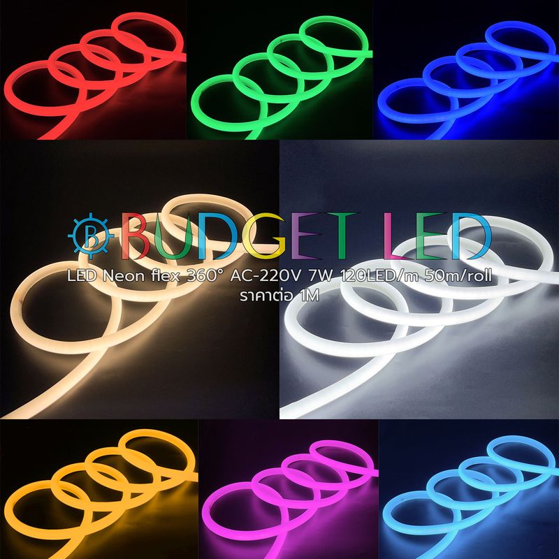 LED Neon Flex 360° 220VAC IP65