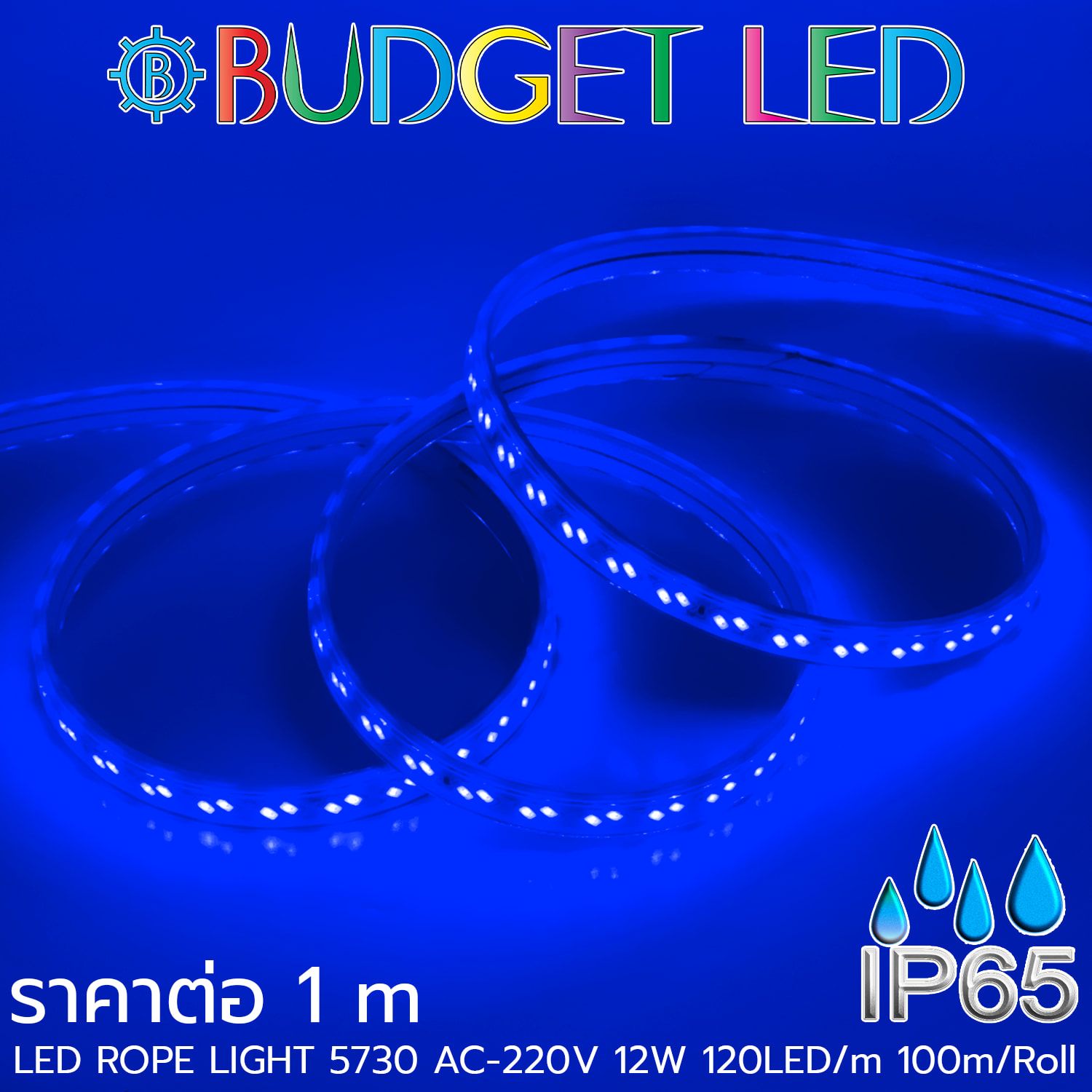 LED ROPE LIGHT 5730-120-12W-220V Blue