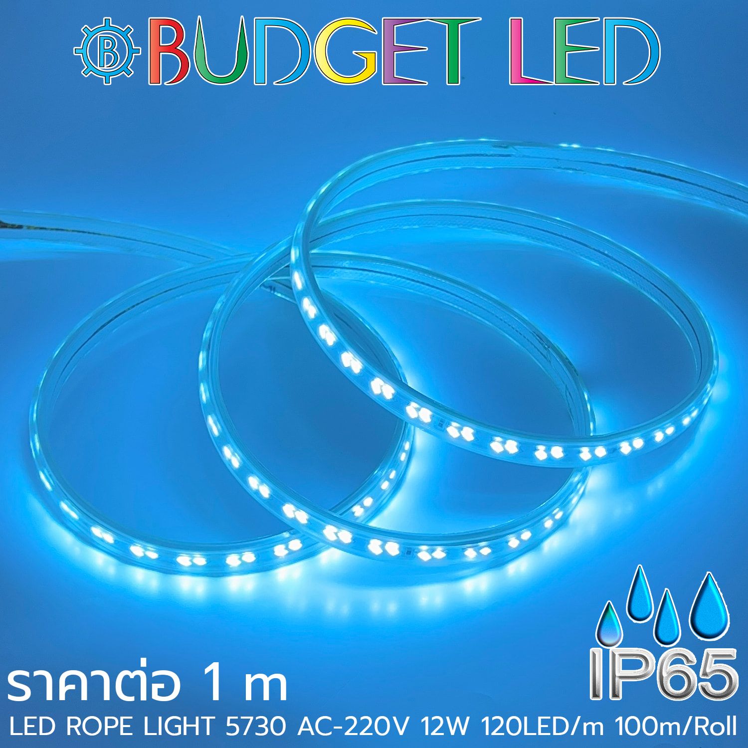LED ROPE LIGHT 5730-120-12W-220V Ice Blue