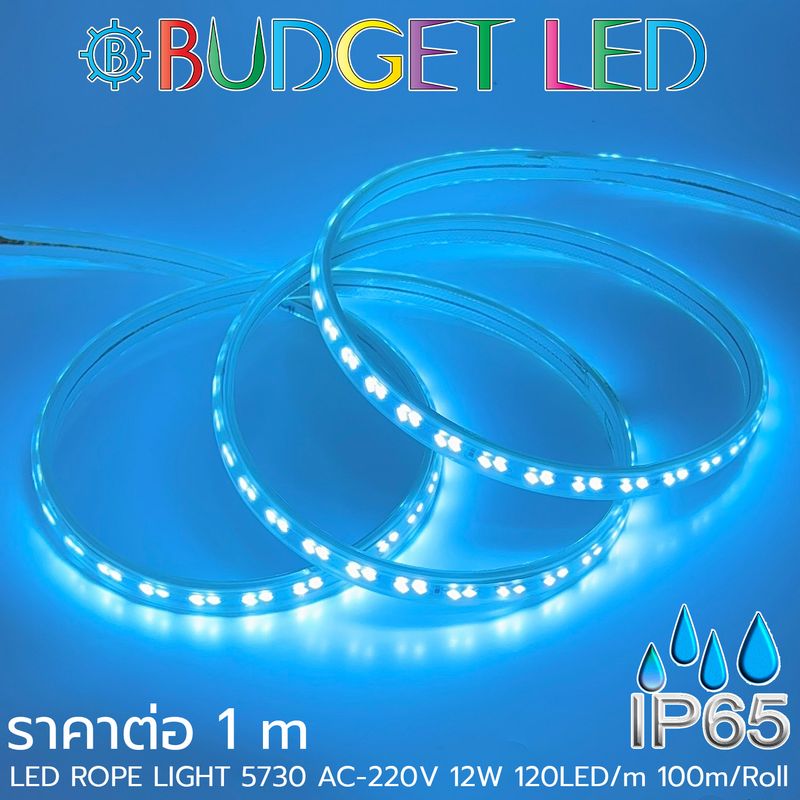 LED ROPE LIGHT 5730-120-12W-220V Ice Blue