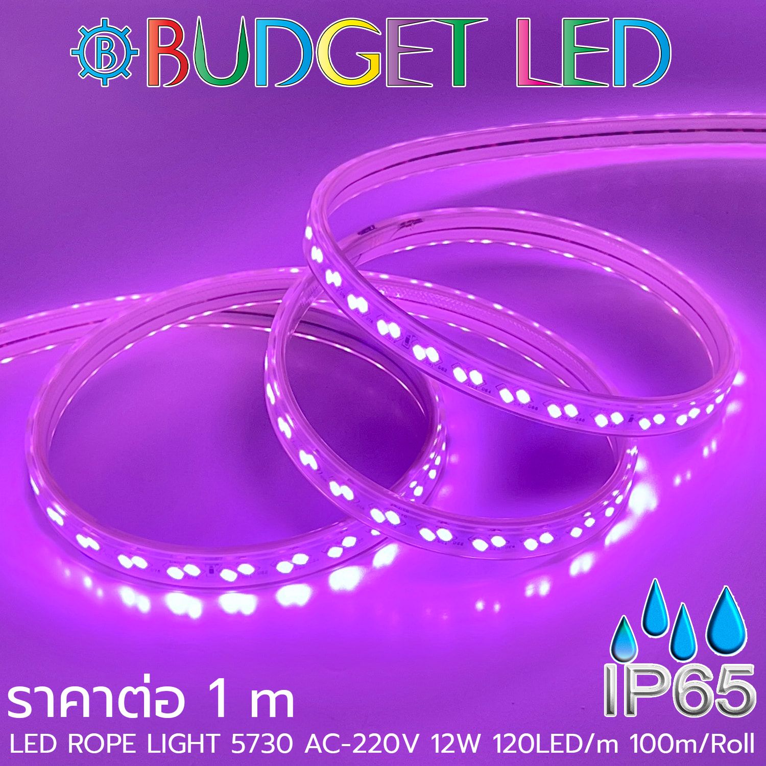 LED ROPE LIGHT 5730-120-12W-220V Violet