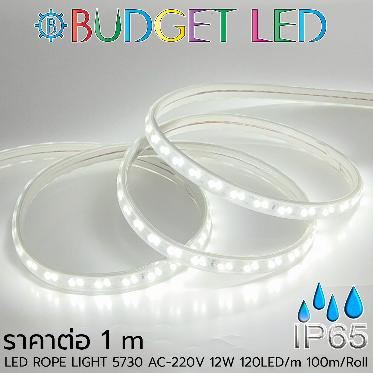 LED ROPE LIGHT 5730-120-12W-220V White