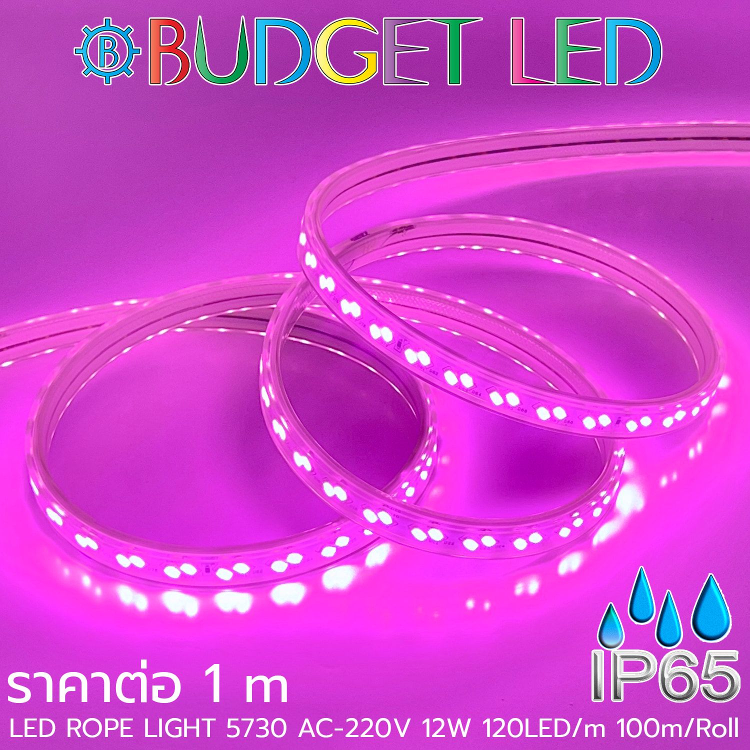 LED ROPE LIGHT 5730-120-12W-220V Pink