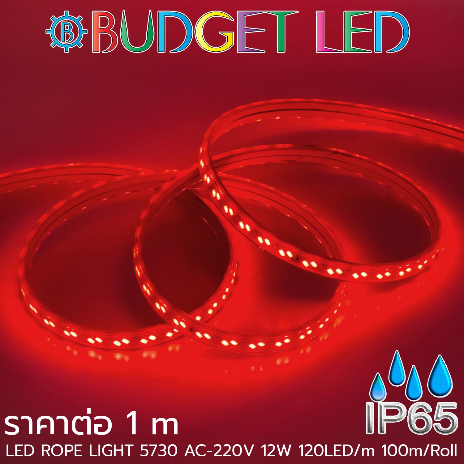 LED ROPE LIGHT 5730-120-12W-220V Red