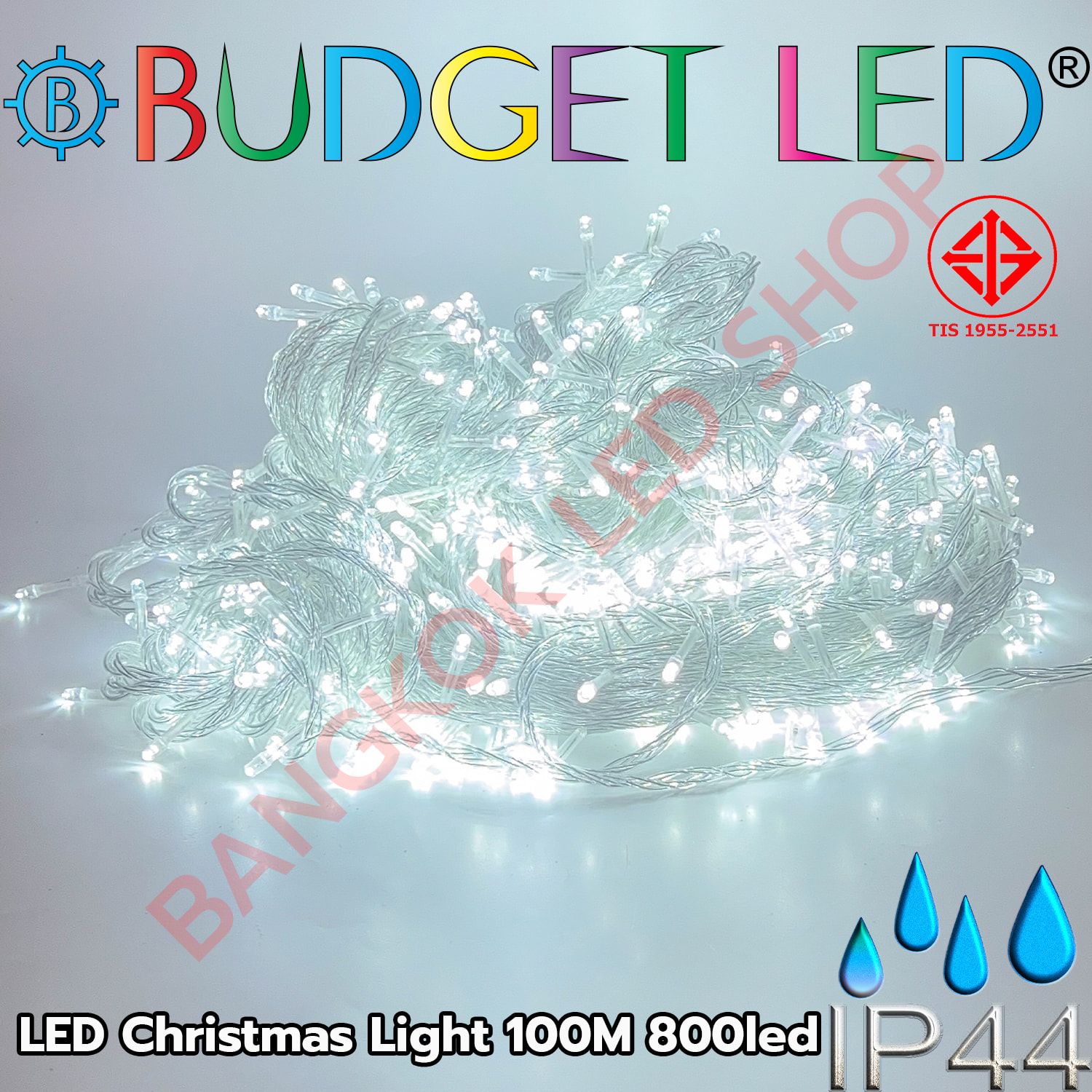 LED Christmas Light 100m 800LED White