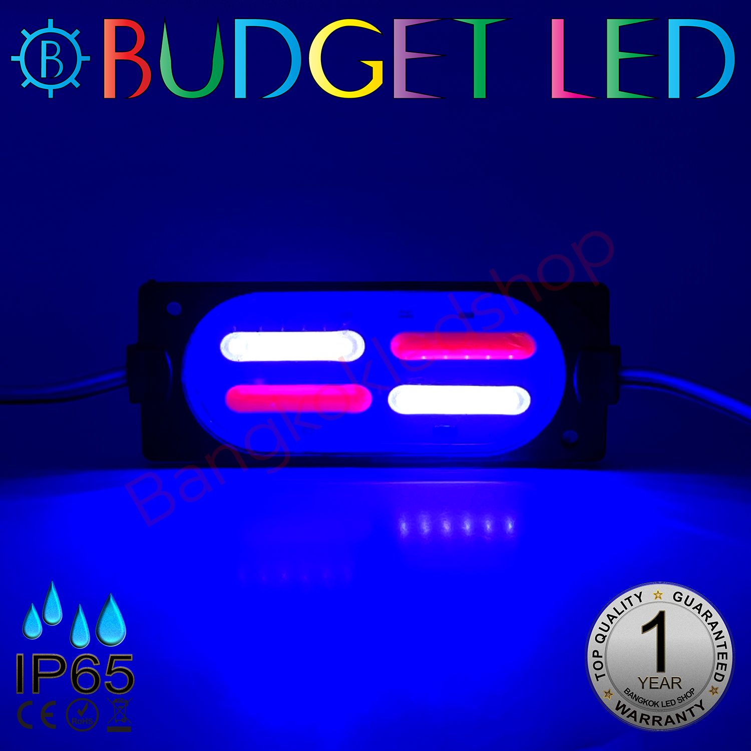 LED Module COB Flash Dual RED&amp;BLUE 3W DC-12V IP65