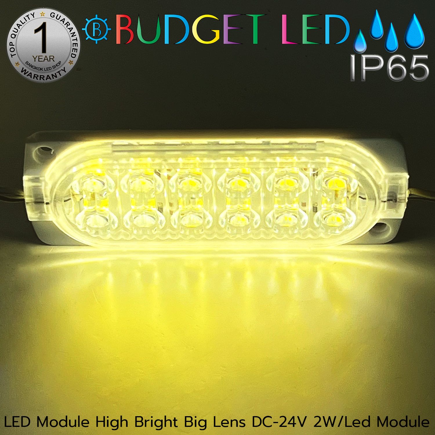 LED Module High Bright Big Lens-12LED 2W 24V Warm White