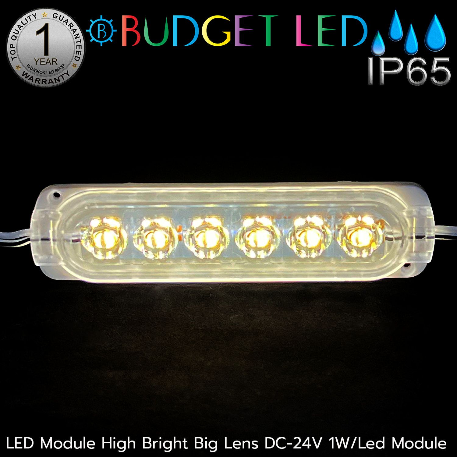 LED Module High Bright Big Lens-6LED 1W 24V Warm White