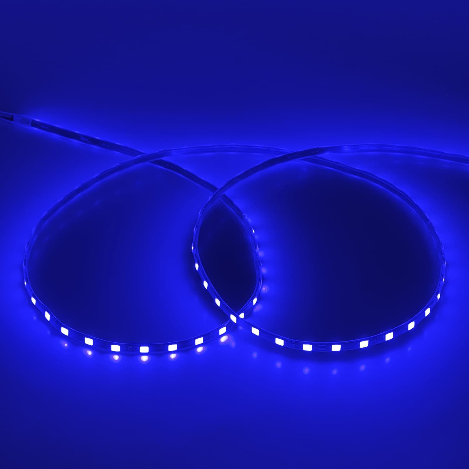 LED Marum light 90cm Blue