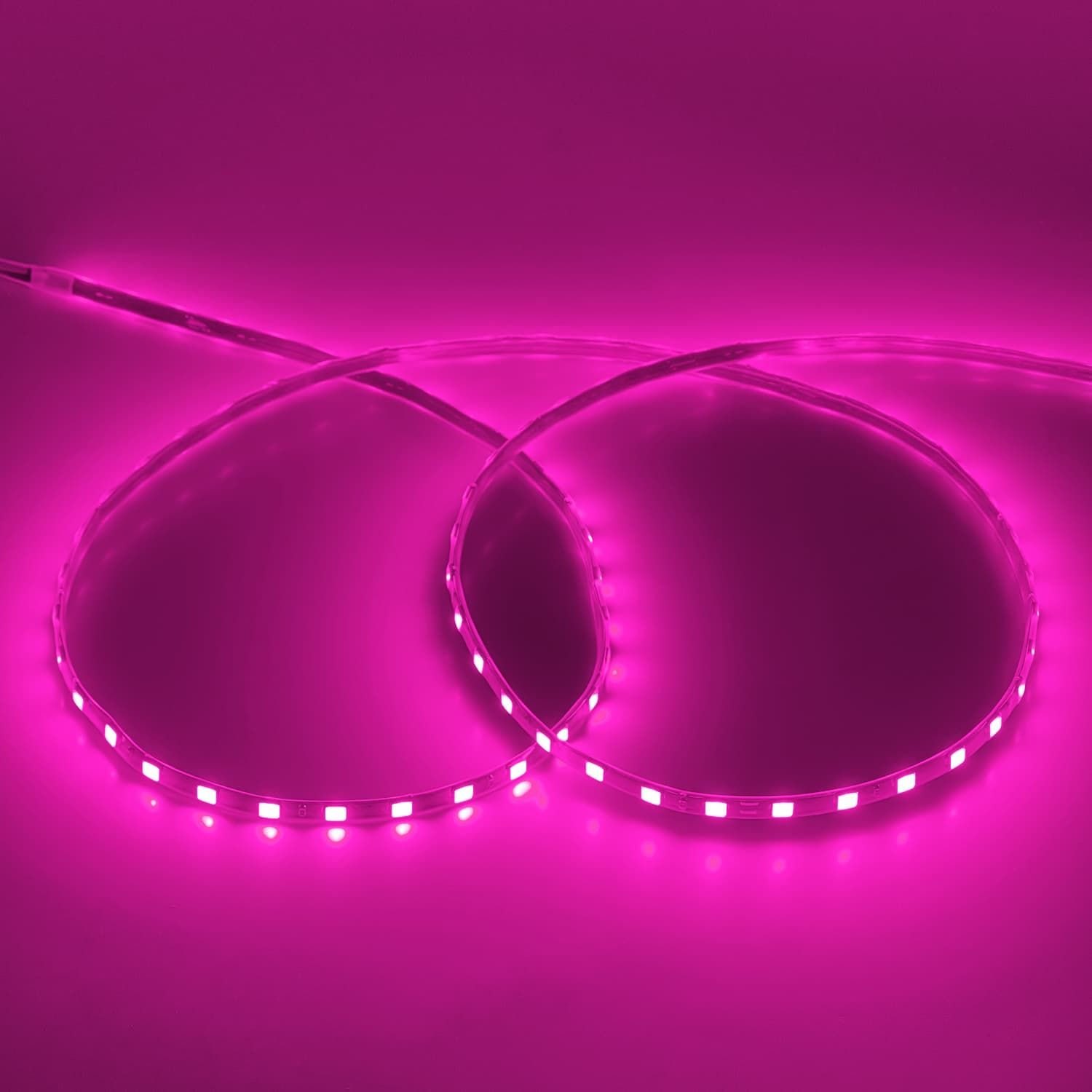 LED Marum light 90cm Pink