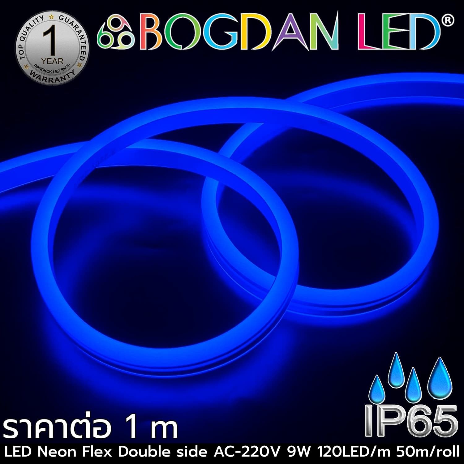 LED Neon flex Double side 1M 220V Blue LED Neon flex Double side 1M 220V Blue
