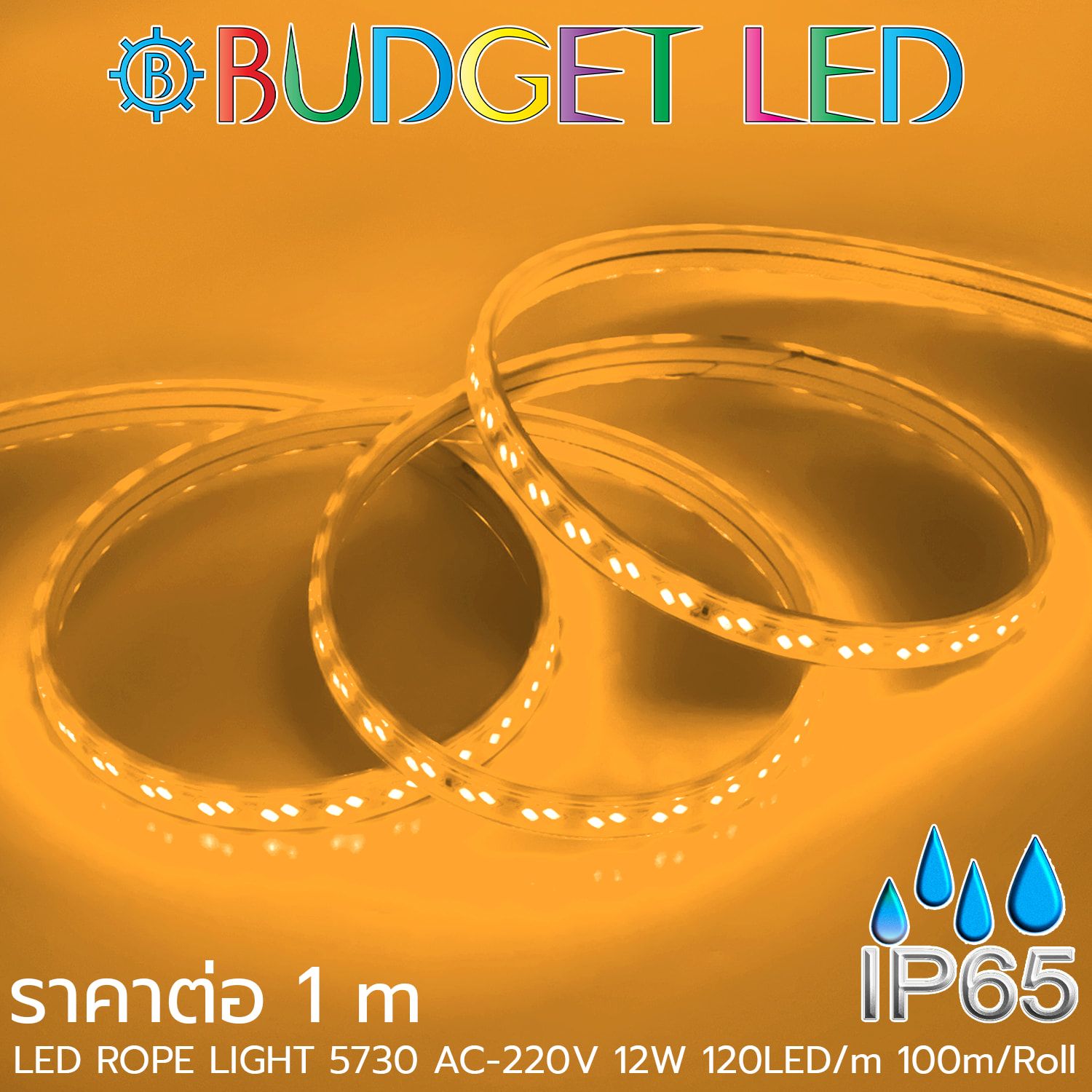 LED ROPE LIGHT 5730-120-12W-220V Yellow