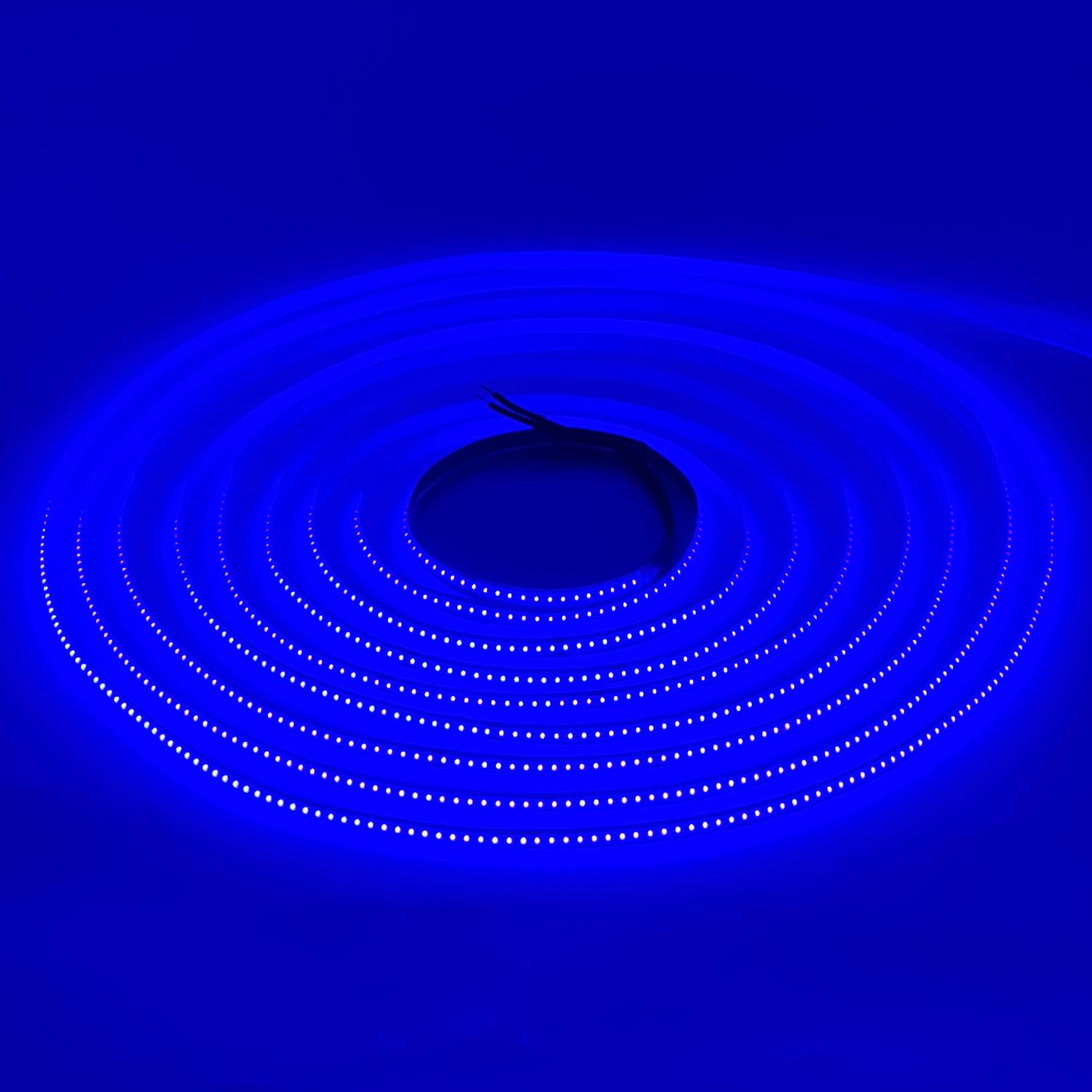 LED STRIP E-BB0820-COB-5mm-BLUE DC24V IP20 BUDGET LED