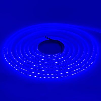 LED STRIP E-BB0820-COB-5mm-BLUE DC24V IP20 BUDGET LED