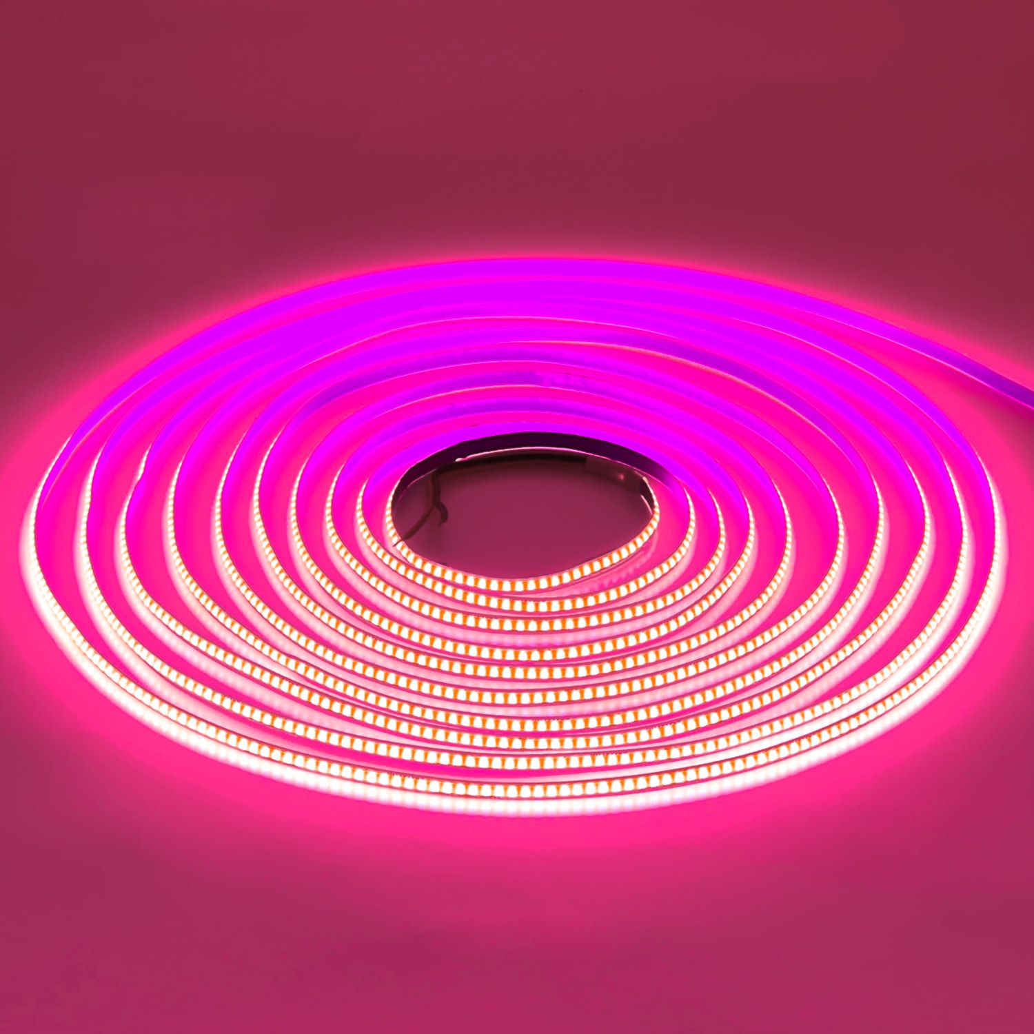 LED STRIP E-BB0820-COB-5mm-PINK DC24V IP20 BUDGET LED