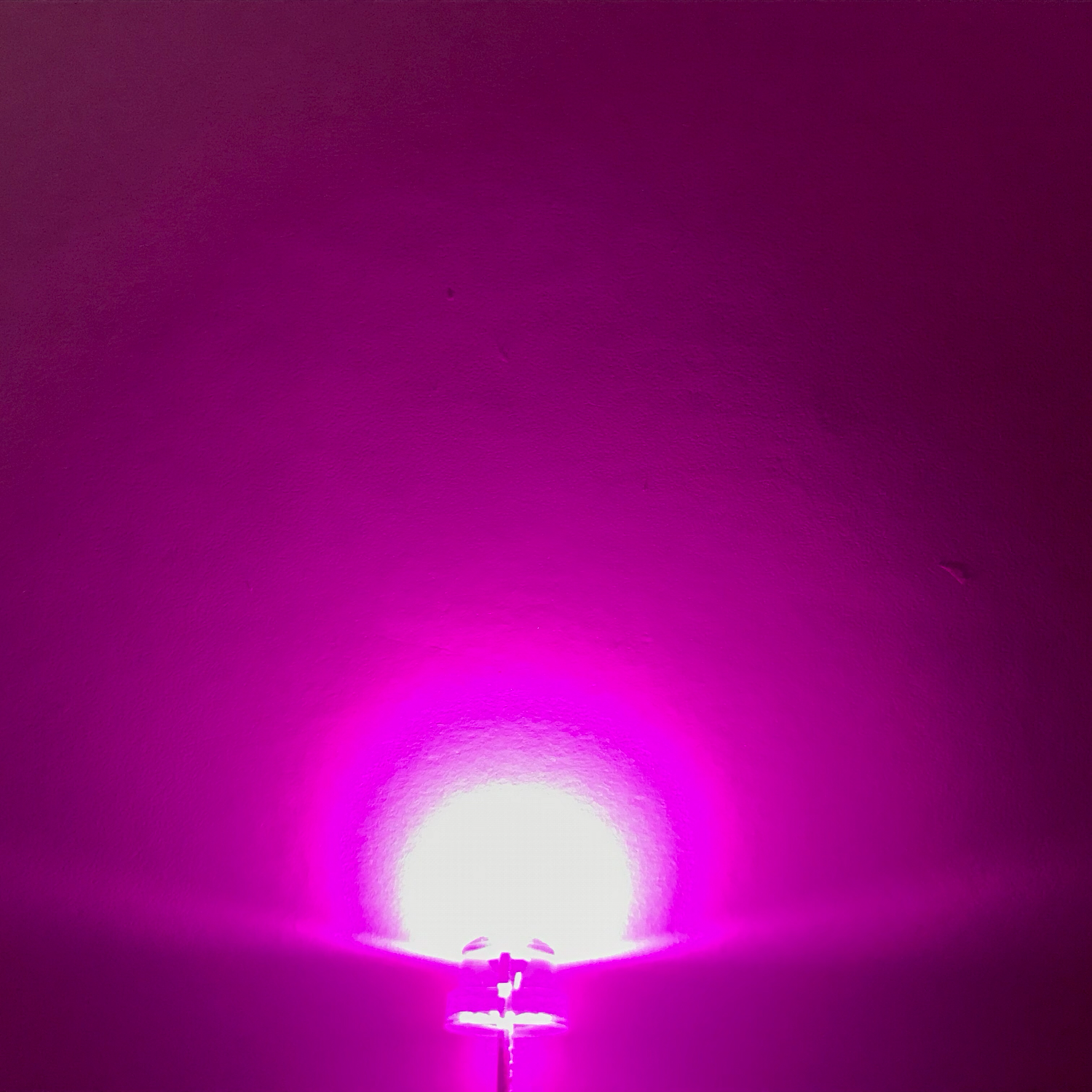 LED 4.8mm 2P S/P Pink Color Grade B