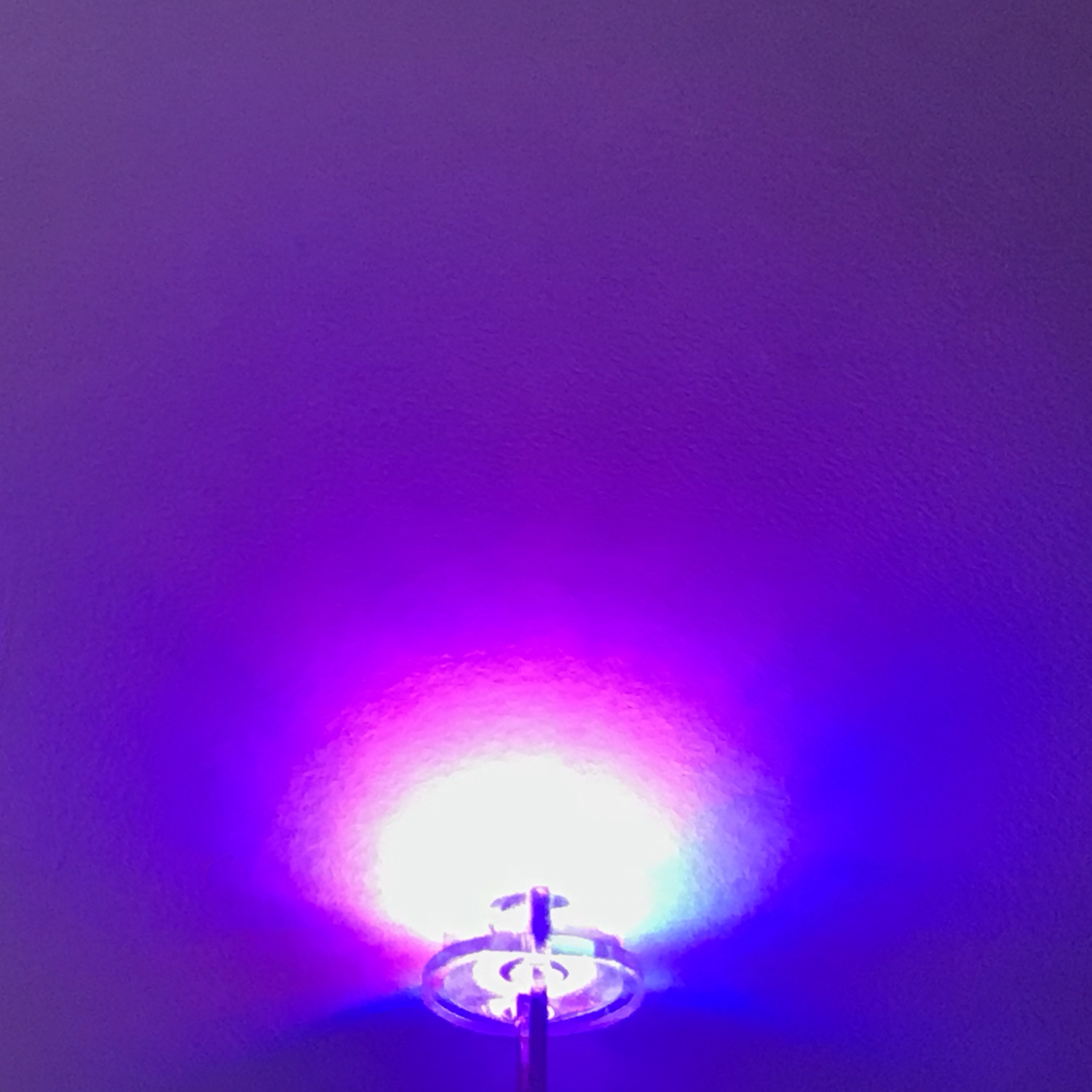 LED 4.8mm 2P S/P Red/Blue Color Grade B LED 4.8mm 2P S/P Red/Blue Color Grade B