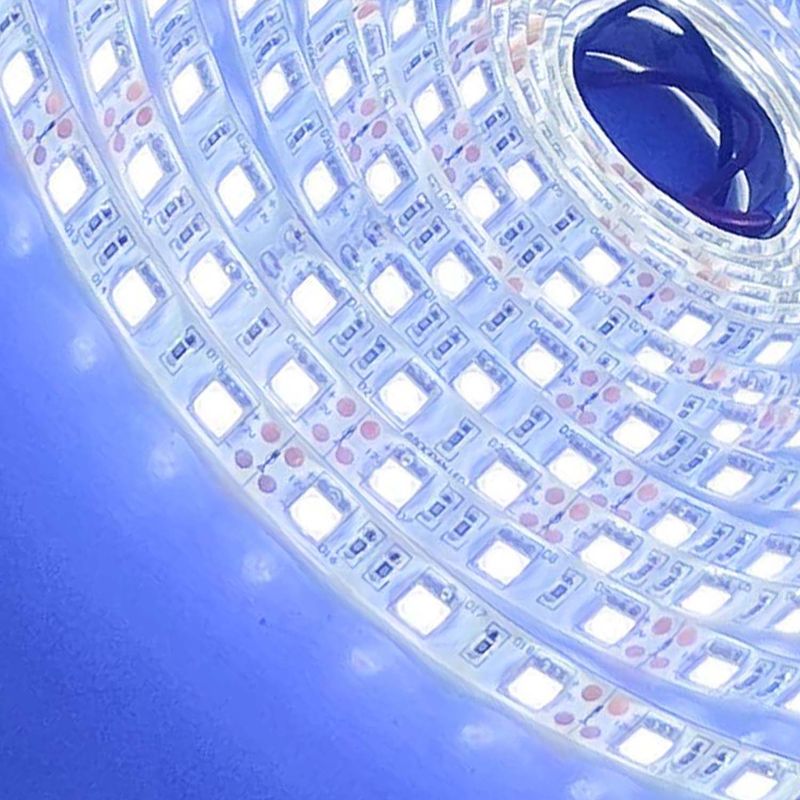 5050 SMD Led Strip IP65
