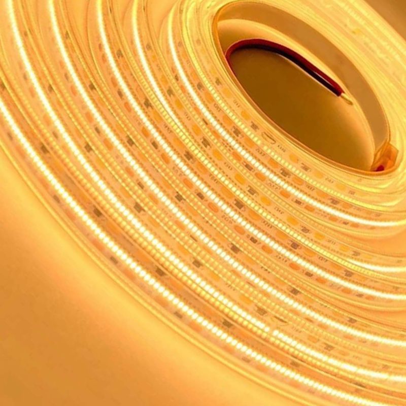 2110 SMD Led Strip IP67