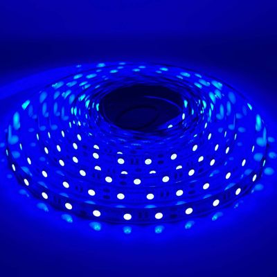 LED STRIP K-BB5050-BLUE DC-12V IP20 BUDGET LED