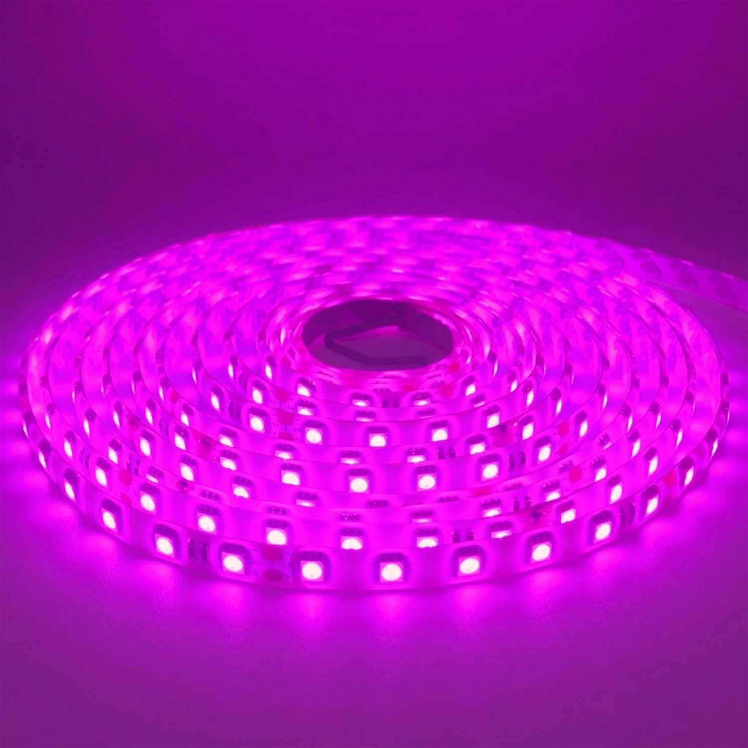 LED STRIP K-BB5050-PINK DC-24V IP65 BUDGET LED