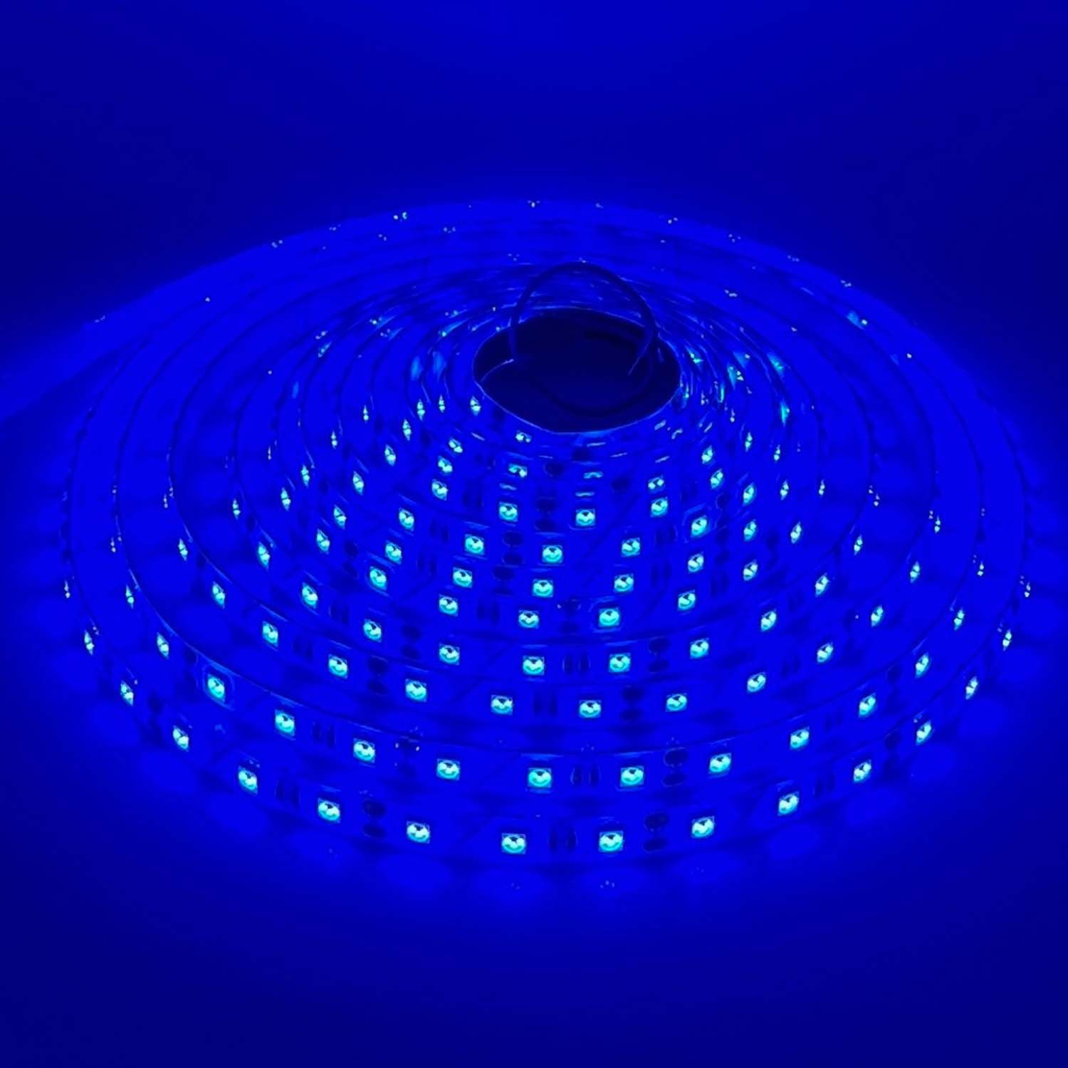 LED STRIP K-BB5050-BLUE DC-24V IP65 BUDGET LED