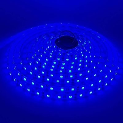 LED STRIP K-BB5050-BLUE DC-24V IP65 BUDGET LED
