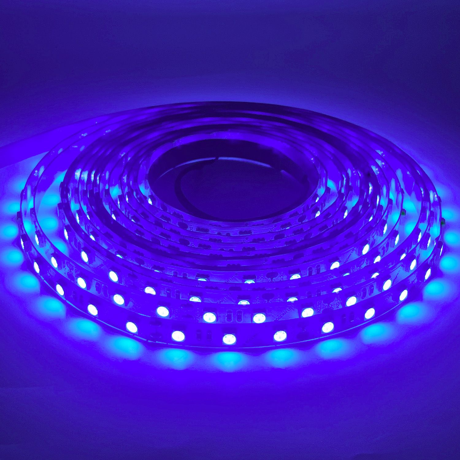 LED STRIP C-A5050-UV DC-12V IP20 BOGDAN LED