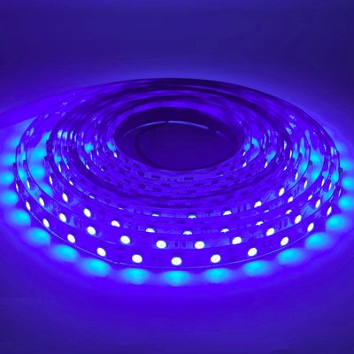 LED STRIP C-A5050-UV DC-12V IP20 BOGDAN LED
