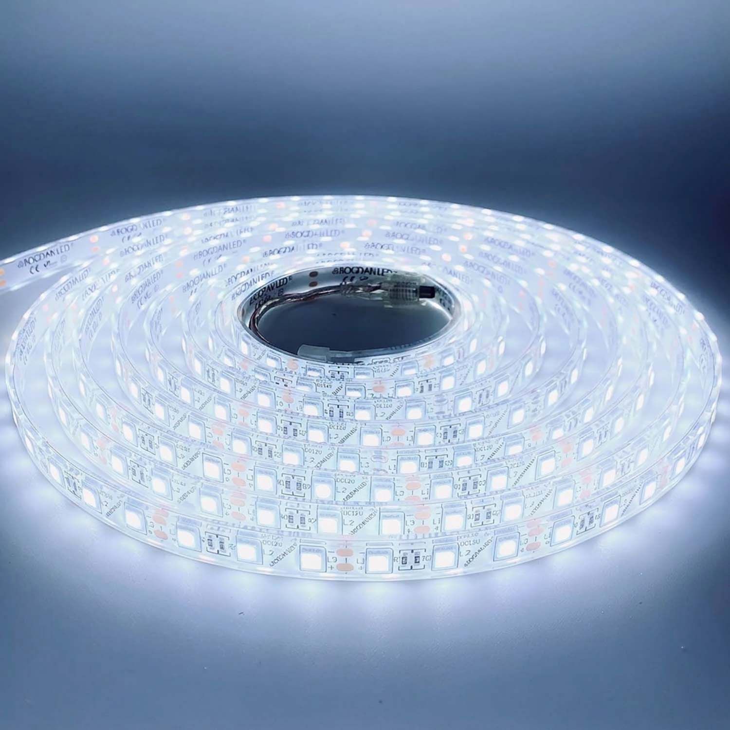 LED STRIP K-AA5050-6500K DC-12V IP68 BOGDAN LED