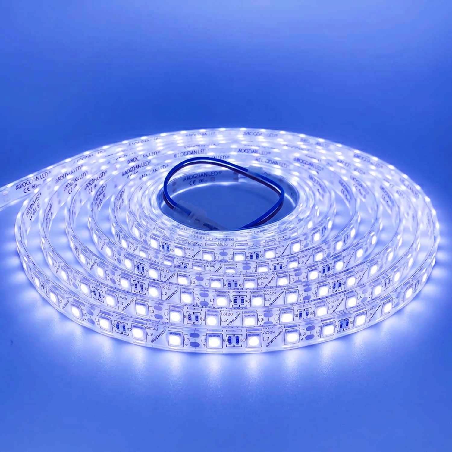 LED STRIP K-AA5050-10000K DC-12V IP68 BOGDAN LED