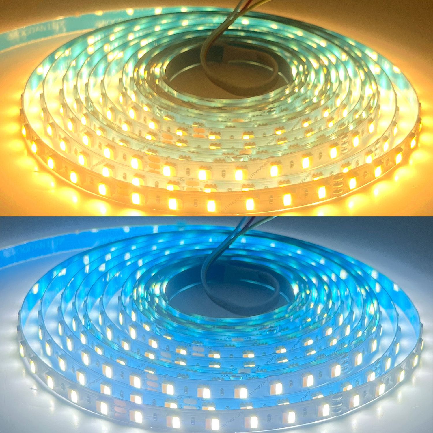LED STRIP K-AA5050-3000K&amp;6500K DC-24V IP20 BOGDAN LED