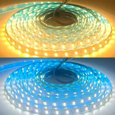 LED STRIP K-AA5050-3000K&amp;6500K DC-24V IP20 BOGDAN LED