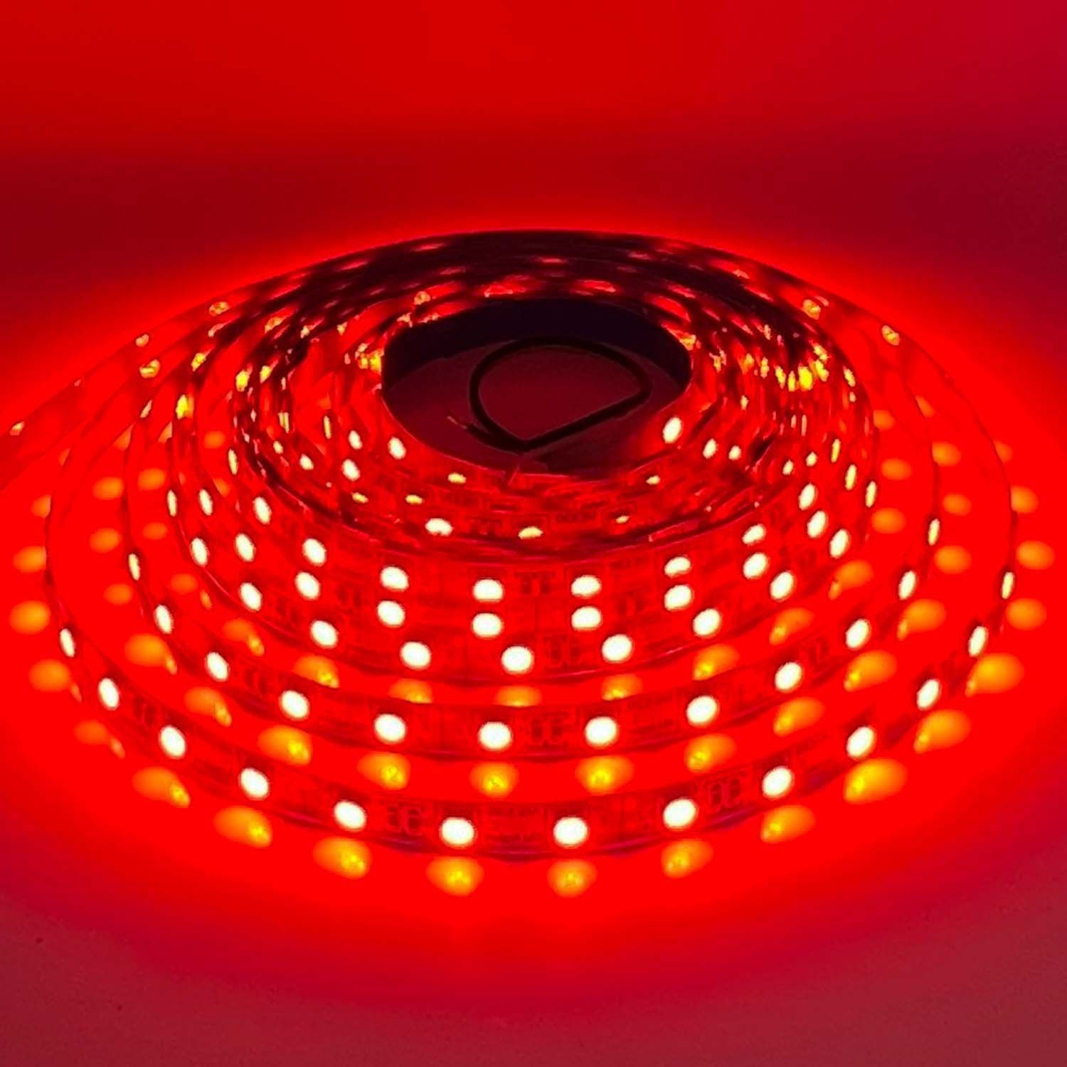 LED STRIP K-BB5050-RED DC-12V IP20 BUDGET LED