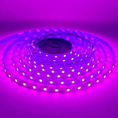 LED STRIP K-BB5050-PINK DC-12V IP20 BUDGET LED LED STRIP K-BB5050-PINK DC-12V IP20 BUDGET LED