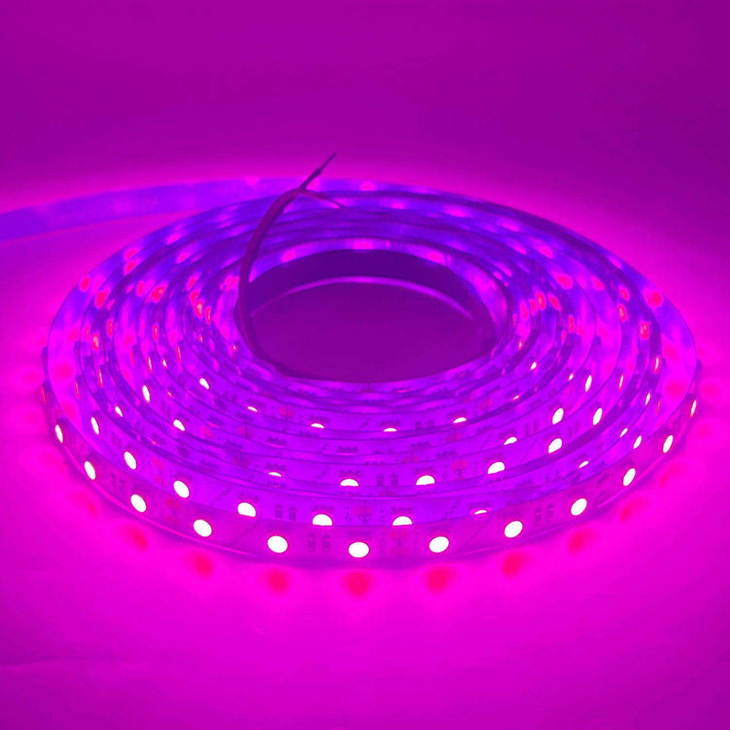 LED STRIP K-AA5050-60-PINK DC-12V IP20 BOGDAN LED