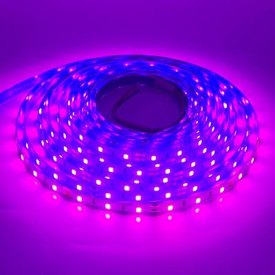 LED STRIP K-AA2835-60-PINK DC-12V IP20 BOGDAN LED