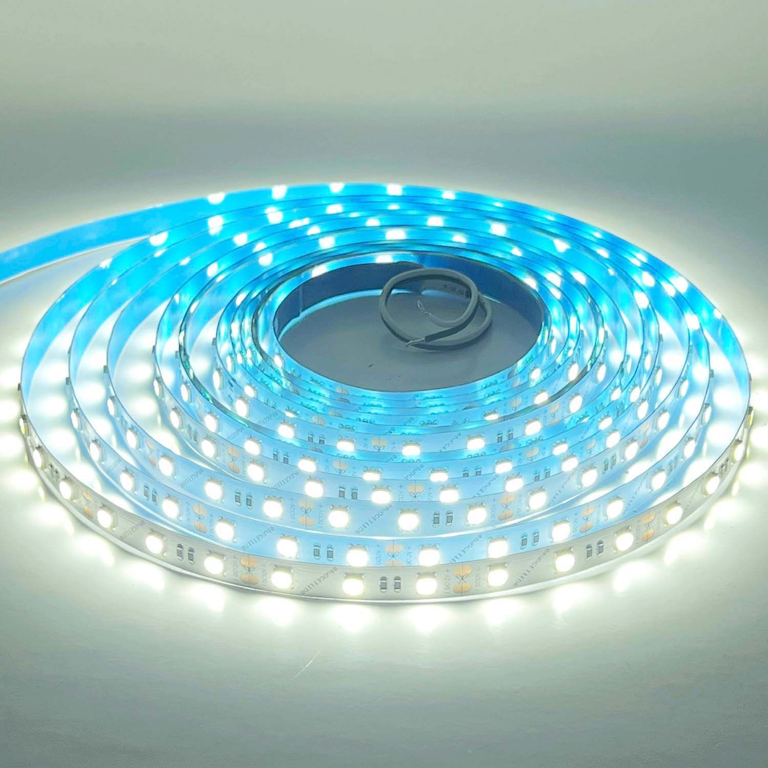 LED STRIP K-BB5050-6500K DC-12V IP20 BUDGET LED