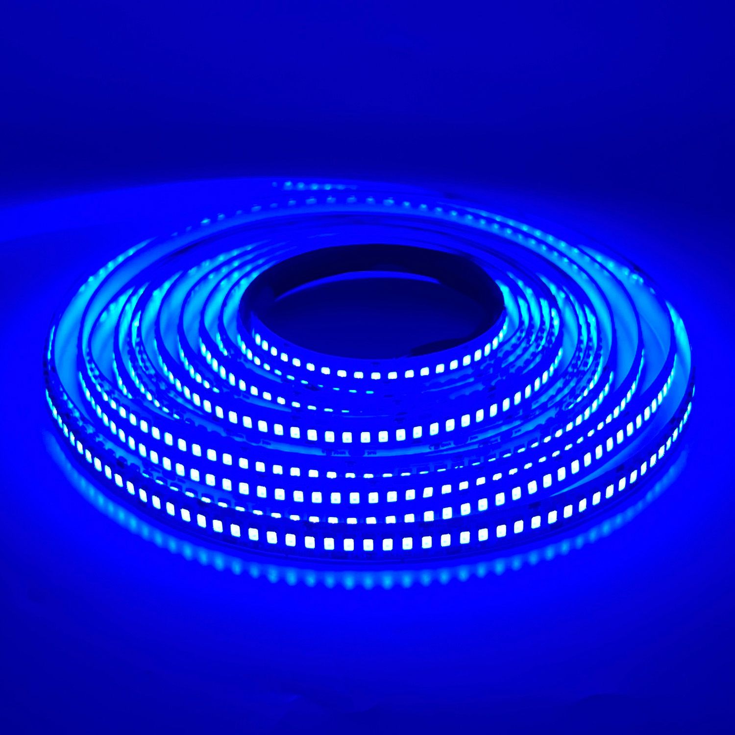 LED STRIP K-AA2835-240-BLUE DC-24V IP20 BOGDAN LED