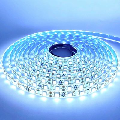 LED STRIP K-BB5050-9000K DC-12V IP65 BUDGETLED