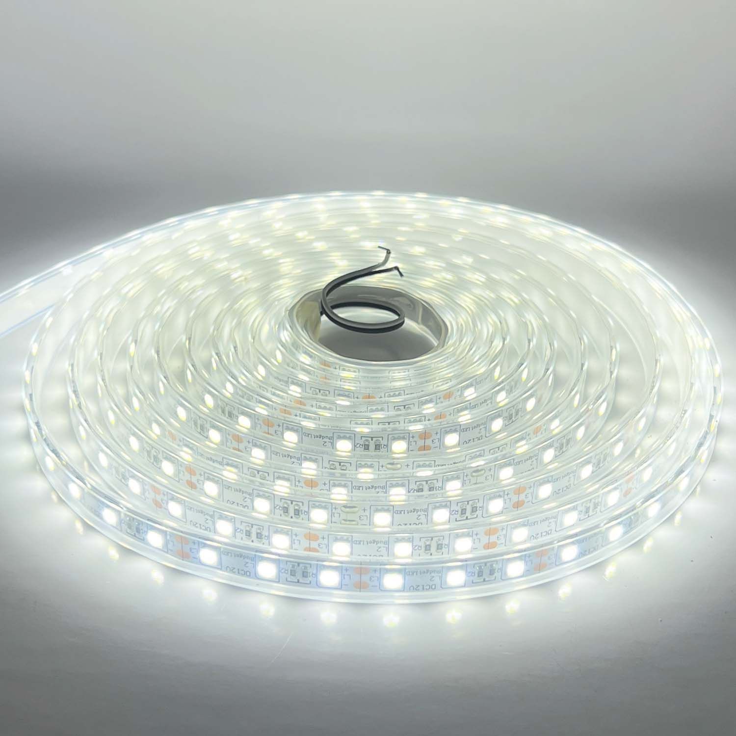 LED STRIP K-BB5050-6500K DC-12V IP67 BUDGET LED