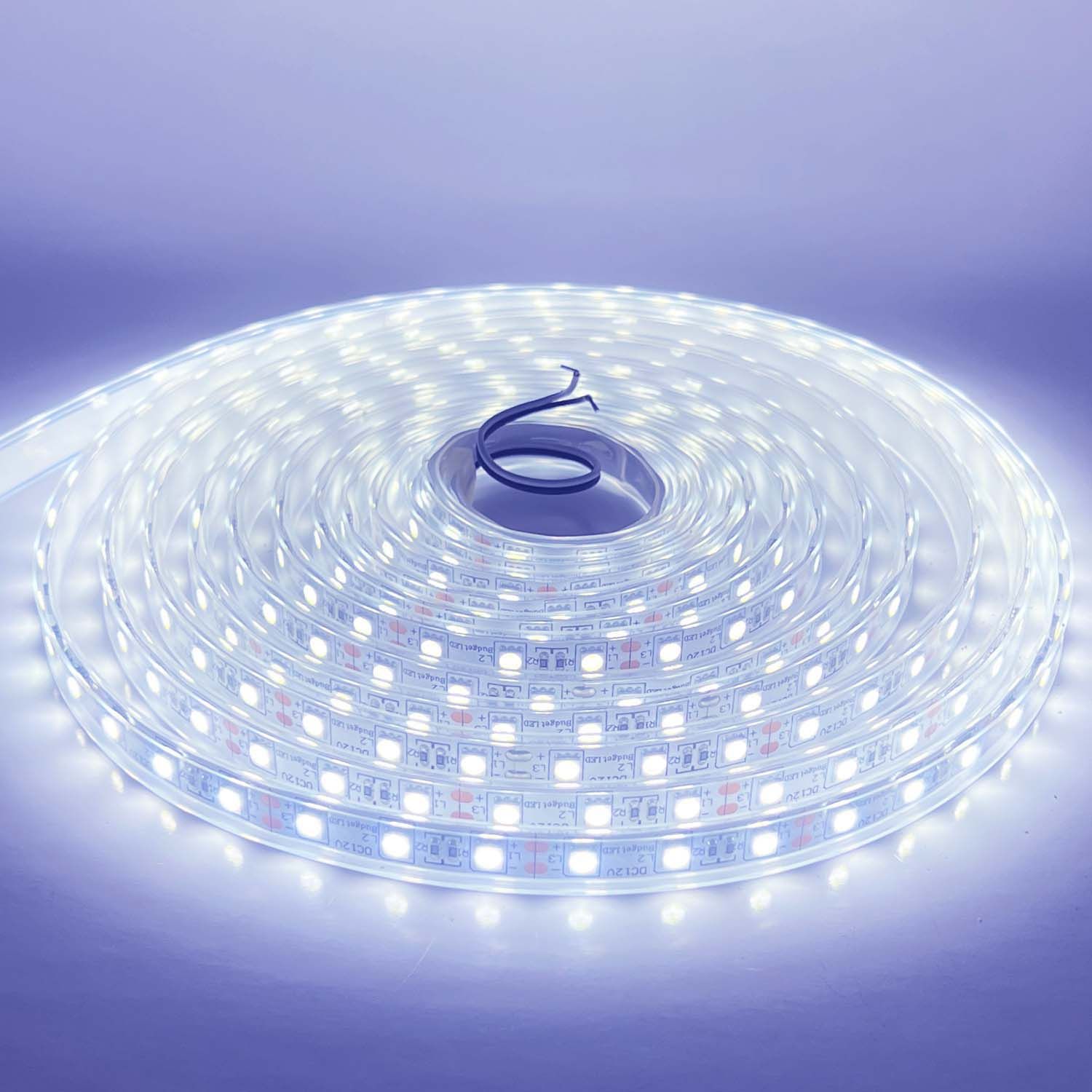 LED STRIP K-BB5050-10000K DC-12V IP67 BUDGET LED