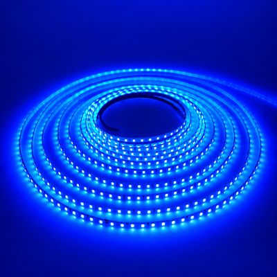 LED STRIP K-AA2216-156-BLUE DC-24V IP20 BOGDAN LED