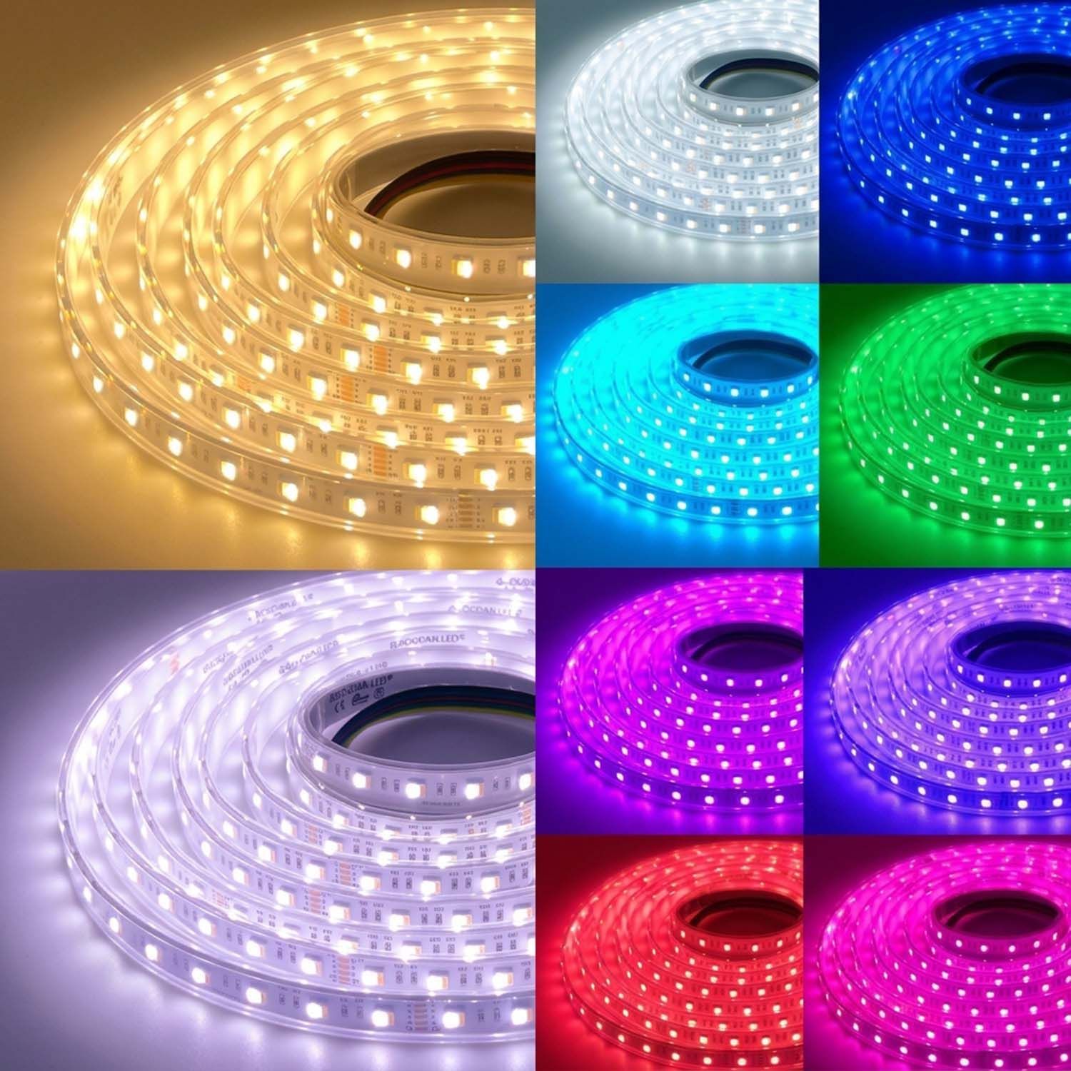 LED STRIP K-AA5050-RGB+CCT IP67 DC-24V BOGDAN LED